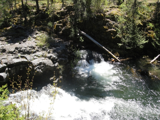 NATURAL BRIDGE - 17 SOUTHERN OREGON ADVENTURES YOU DO NOT WANT TO MISS - What to do in Southern Oregon - Kids