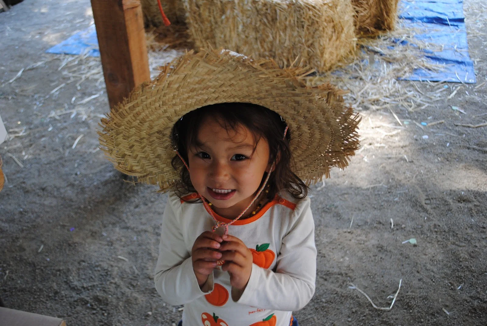 HANLEY FARM SCARECROW FESTIVAL - FALL - Pumpkin Painting - Kids - What to to do in Southern Oregon