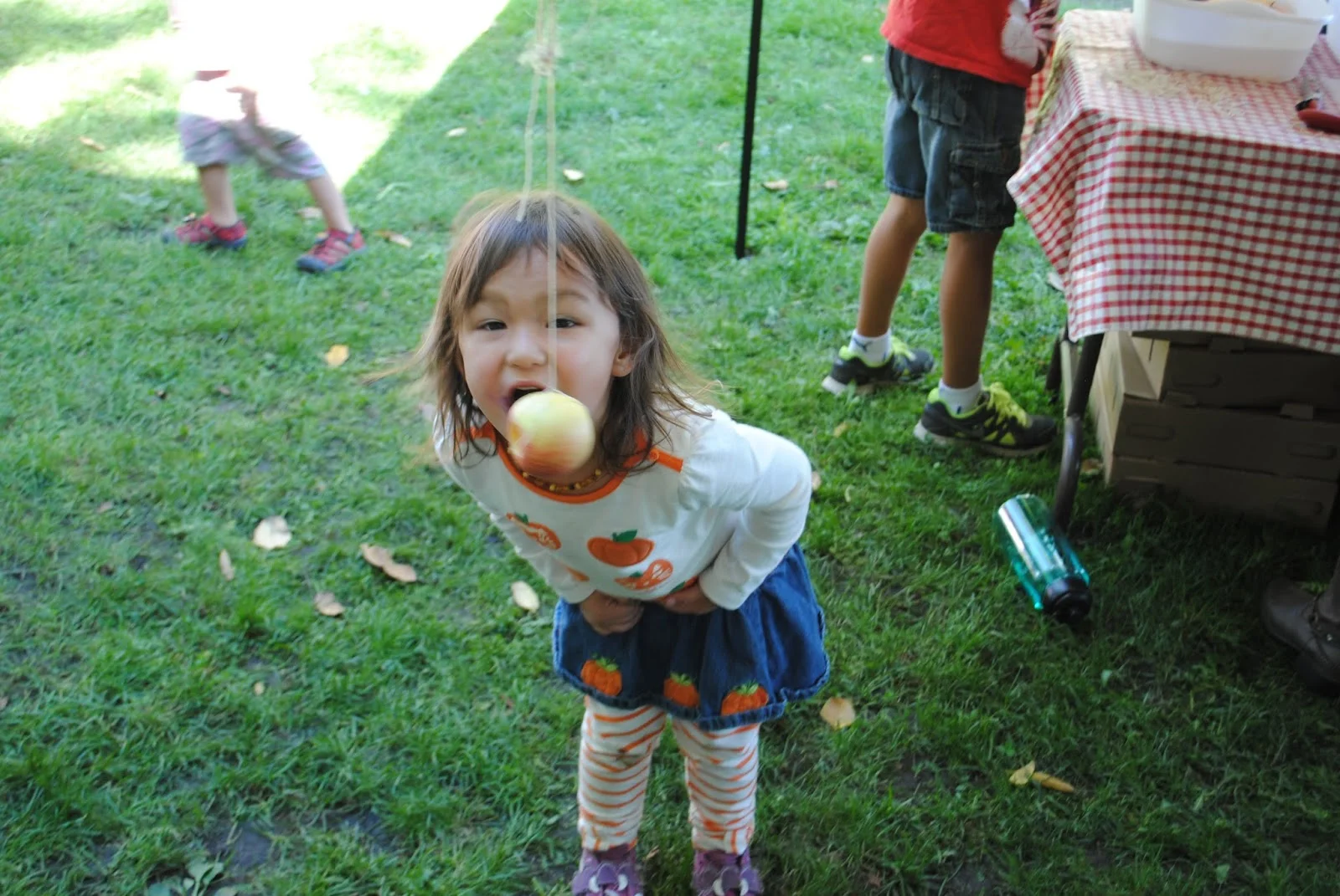 HANLEY FARM SCARECROW FESTIVAL - FALL - Pumpkin Painting - Kids - What to to do in Southern Oregon