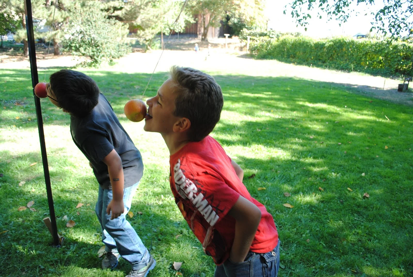 HANLEY FARM SCARECROW FESTIVAL - FALL - Pumpkin Painting - Kids - What to to do in Southern Oregon