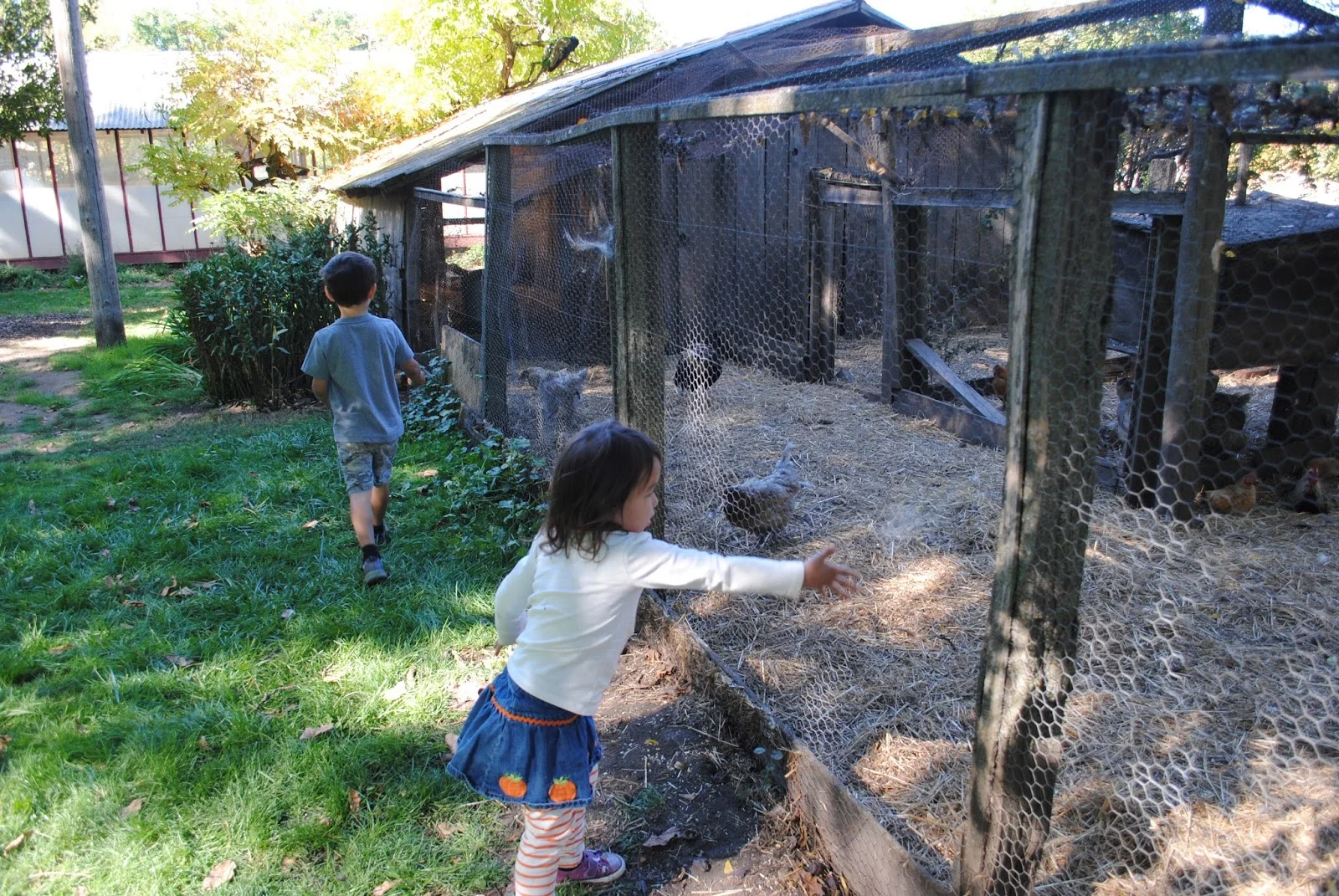 HANLEY FARM SCARECROW FESTIVAL - FALL - Pumpkin Painting - Kids - What to to do in Southern Oregon