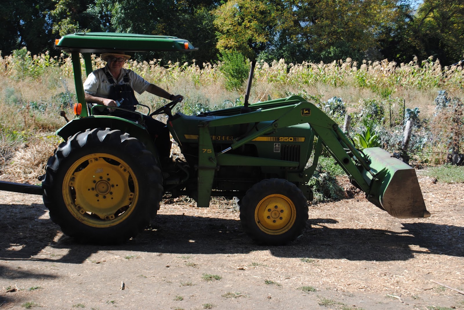 HANLEY FARM SCARECROW FESTIVAL - FALL - Pumpkin Painting - Kids - What to to do in Southern Oregon