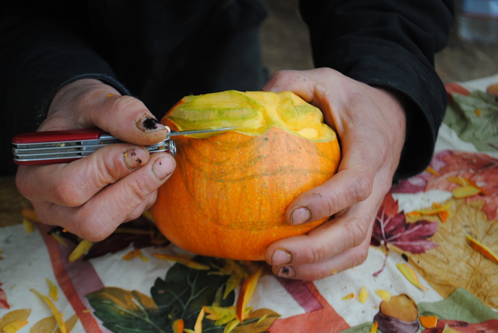 10 October Pumpkin Patch with Moon Family (66).JPG