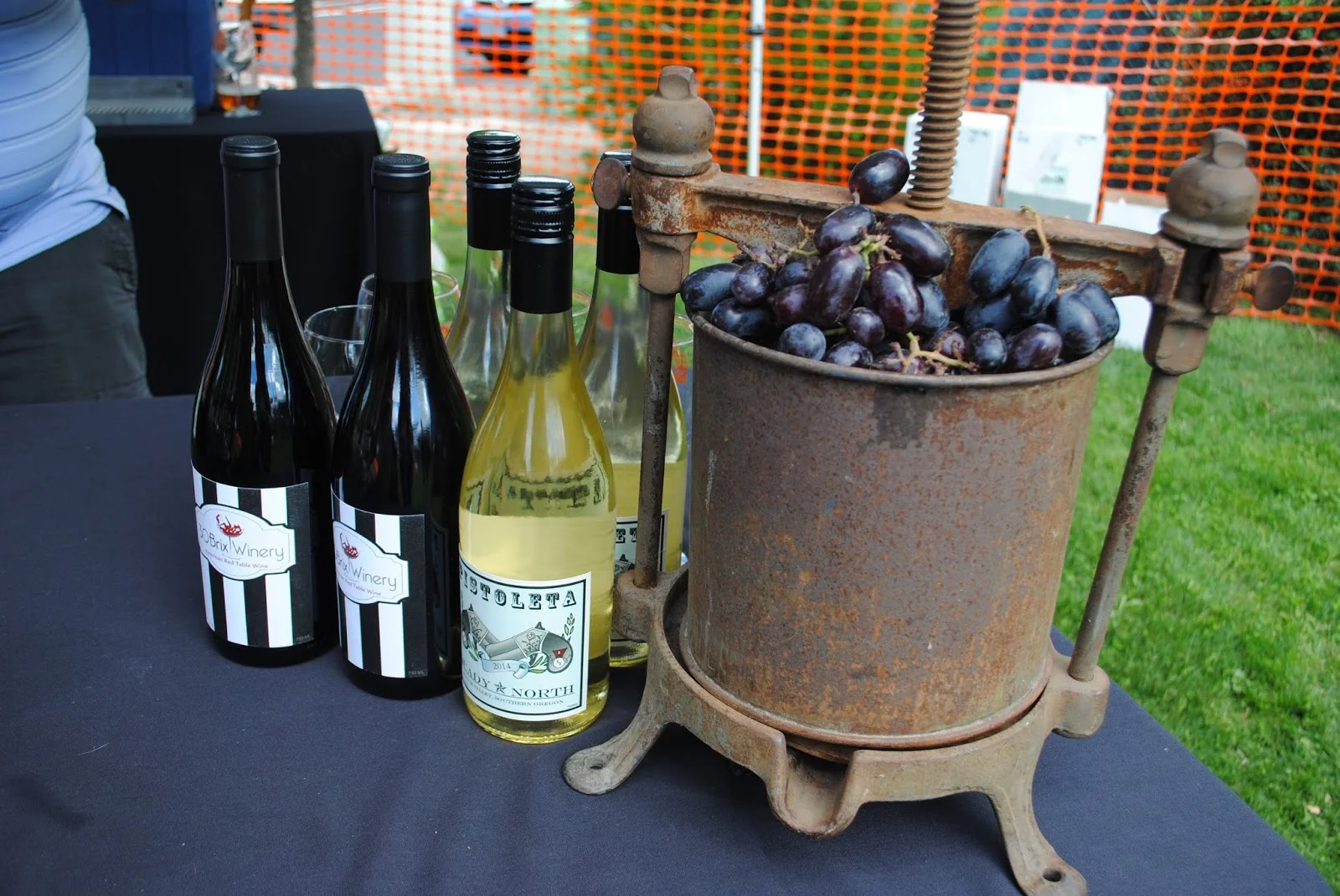 TALENT HARVEST FESTIVAL  & RUN - What to do in Southern Oregon - Kids - Family - Fall