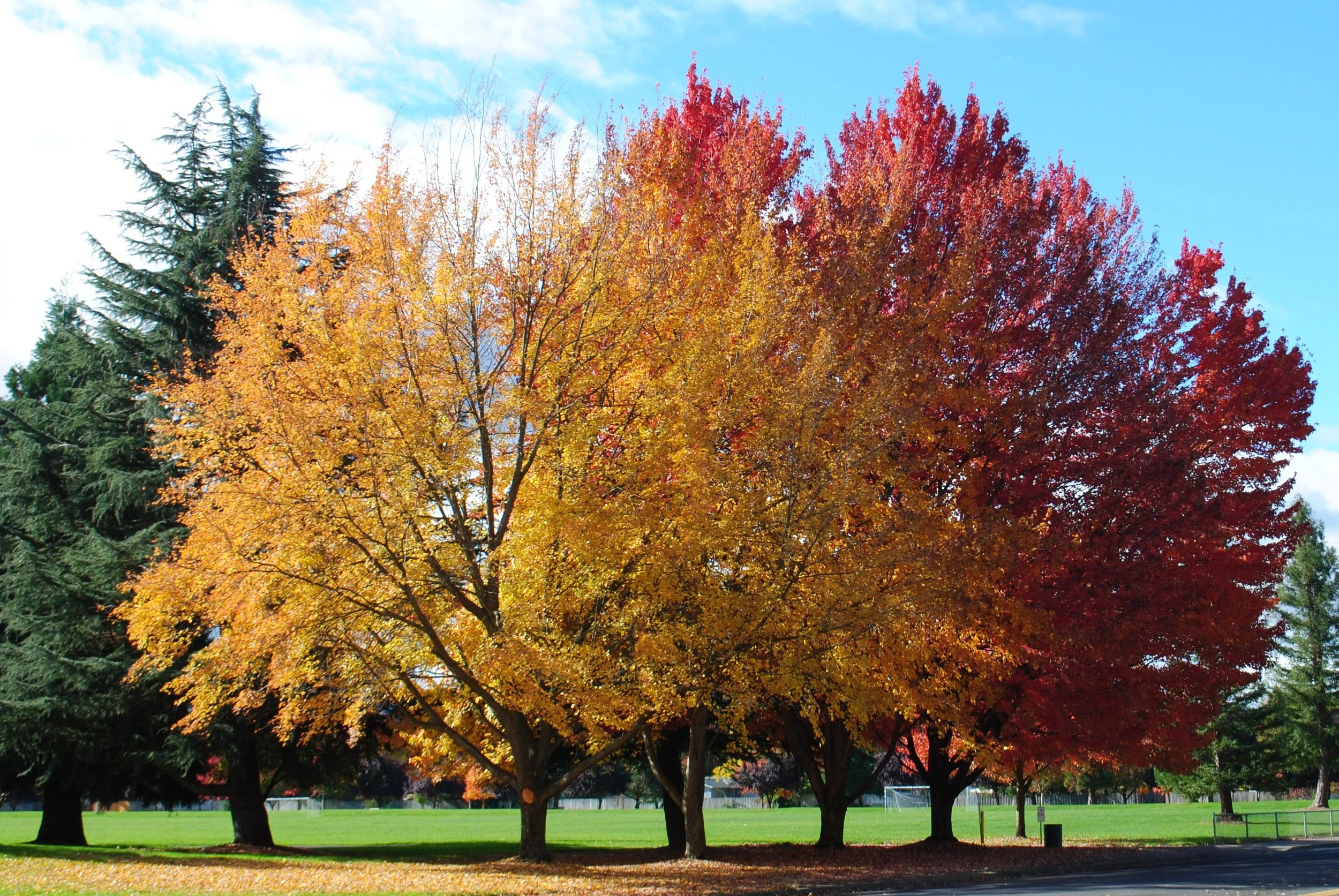Southern Oregon Fall Bucket List