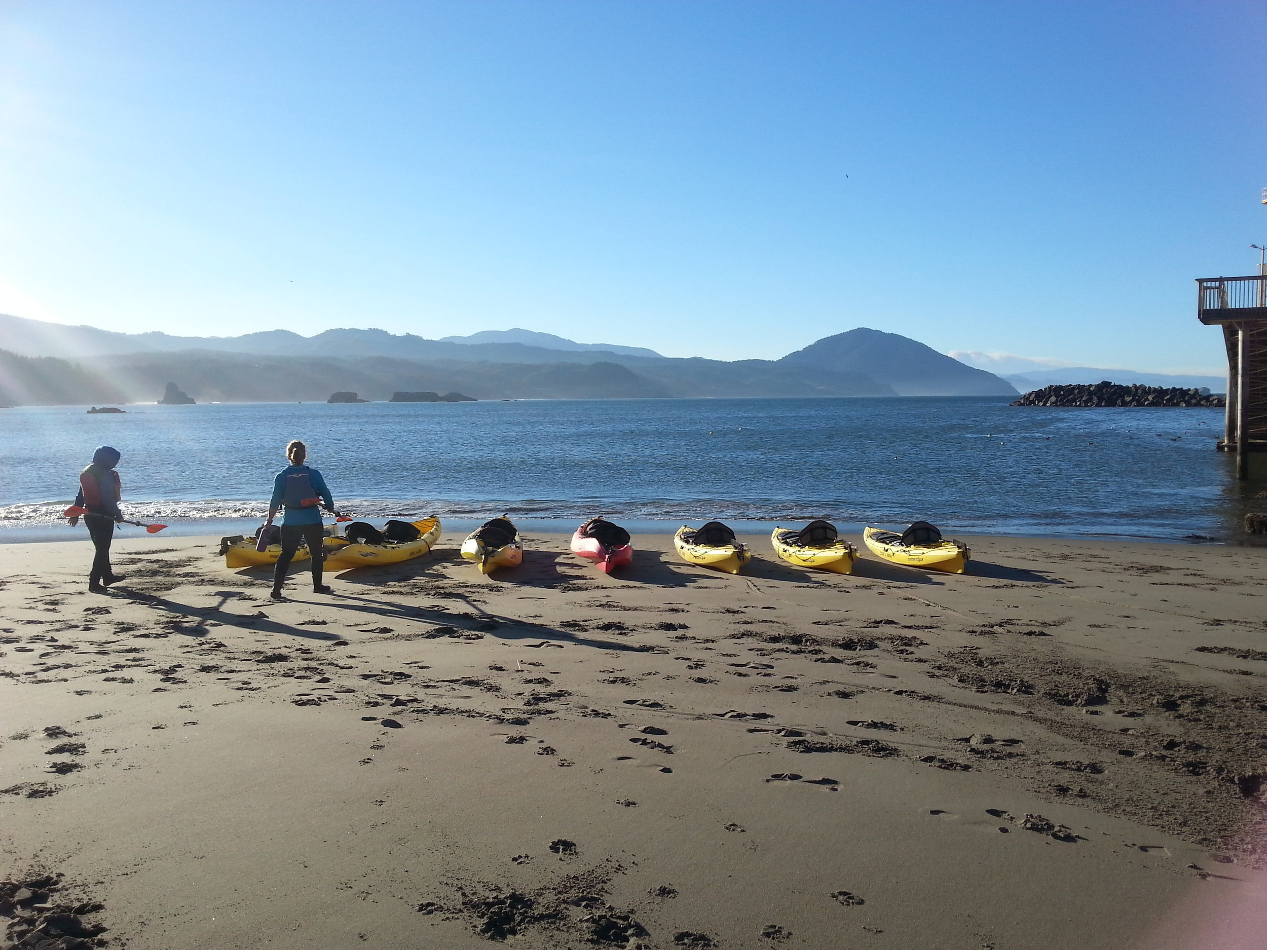 EXPLORING PORT ORFORD HEADS KAYAKING WITH SOUTH COAST TOURS - What to do in Southern Oregon