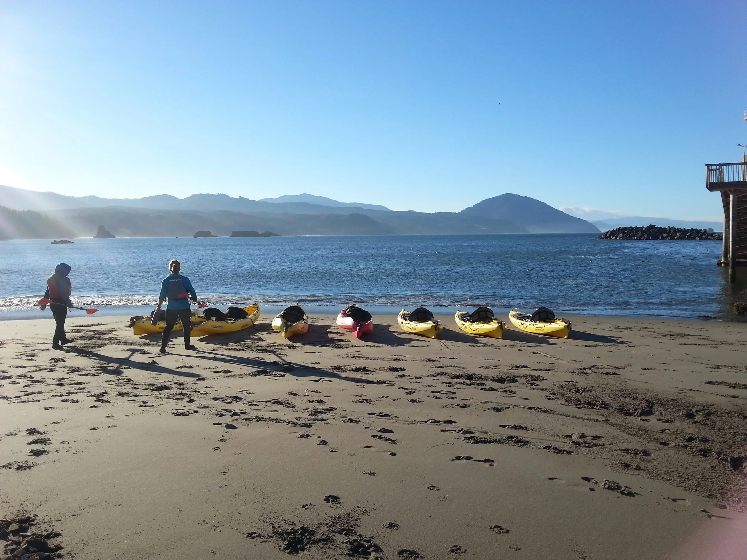 EXPLORING PORT ORFORD HEADS KAYAKING WITH SOUTH COAST TOURS - What to do in Southern Oregon