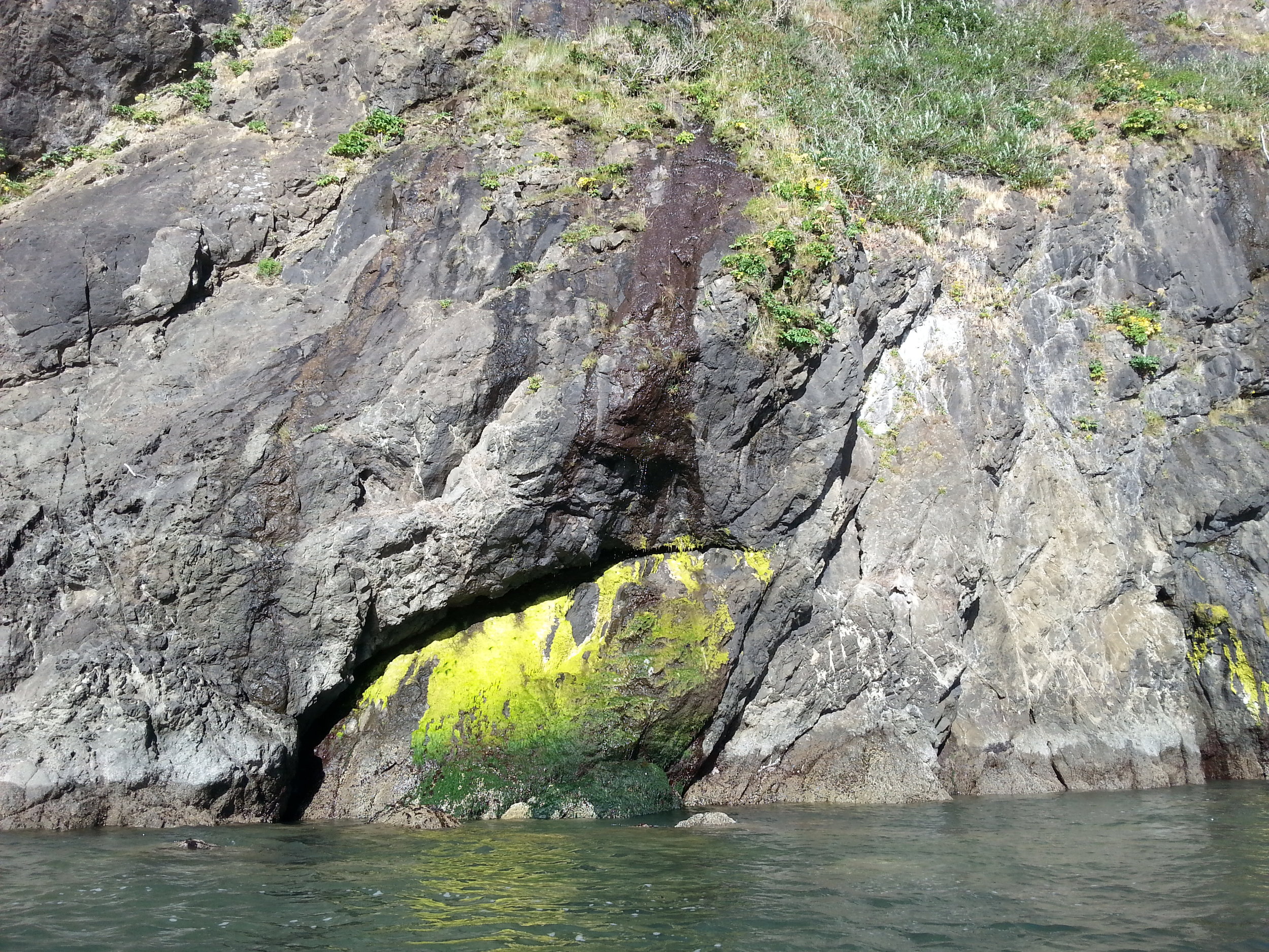 EXPLORING PORT ORFORD HEADS KAYAKING WITH SOUTH COAST TOURS - What to do in Southern Oregon
