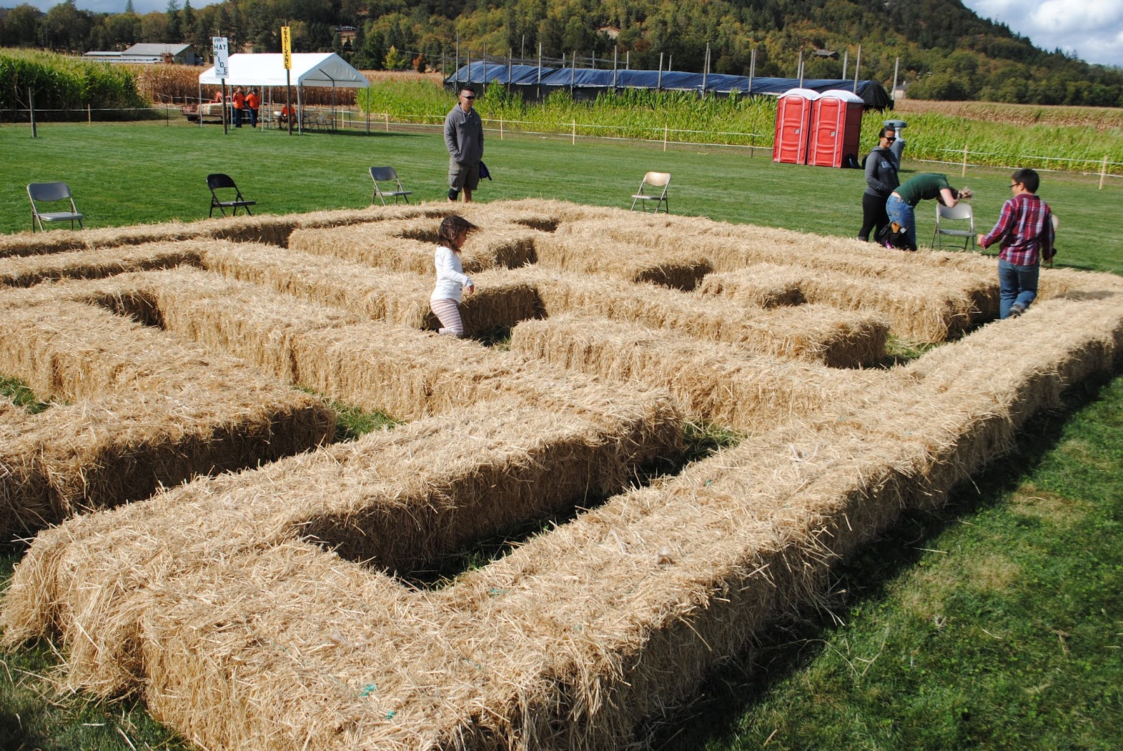 Fort Vannoy Farms Harvest Festival - Grants Pass, Oregon - Josephine County - Rogue Valley - Southern Oregon - Fall - Autumn - Pumpkin Patch - Corn Maze - Hayrides  - What to do in Southern Oregon