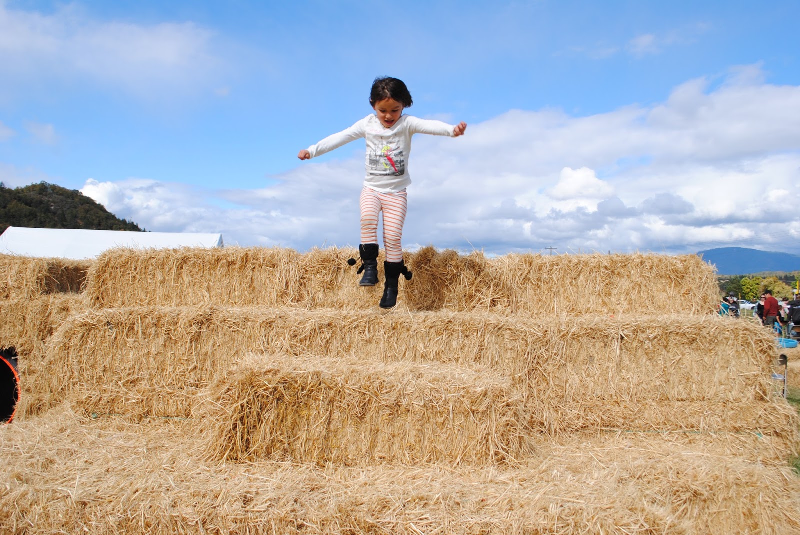 Fort Vannoy Farms Harvest Festival - Grants Pass, Oregon - Josephine County - Rogue Valley - Southern Oregon - Fall - Autumn - Pumpkin Patch - Corn Maze - Hayrides  - What to do in Southern Oregon