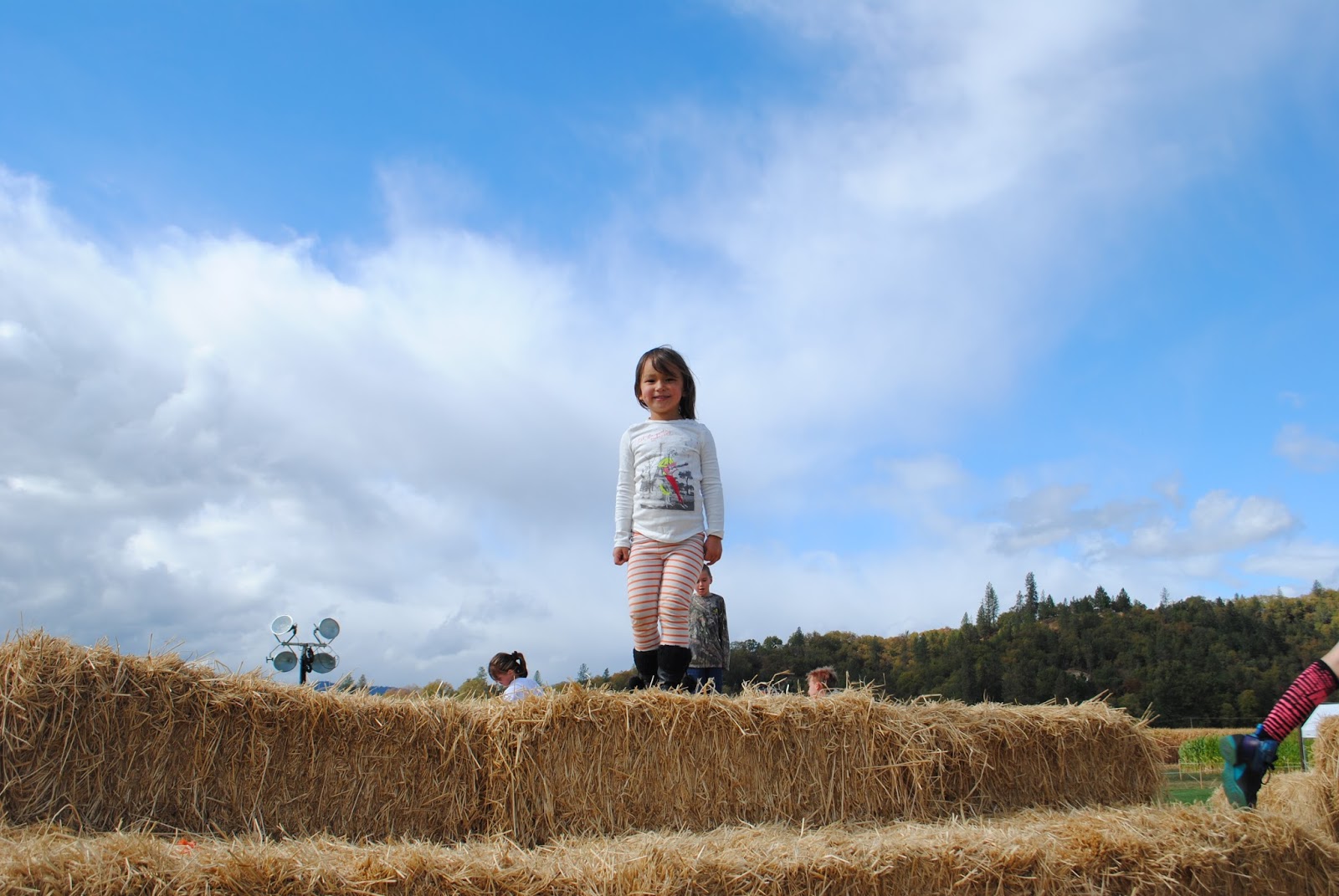 Fort Vannoy Farms Harvest Festival - Grants Pass, Oregon - Josephine County - Rogue Valley - Southern Oregon - Fall - Autumn - Pumpkin Patch - Corn Maze - Hayrides 