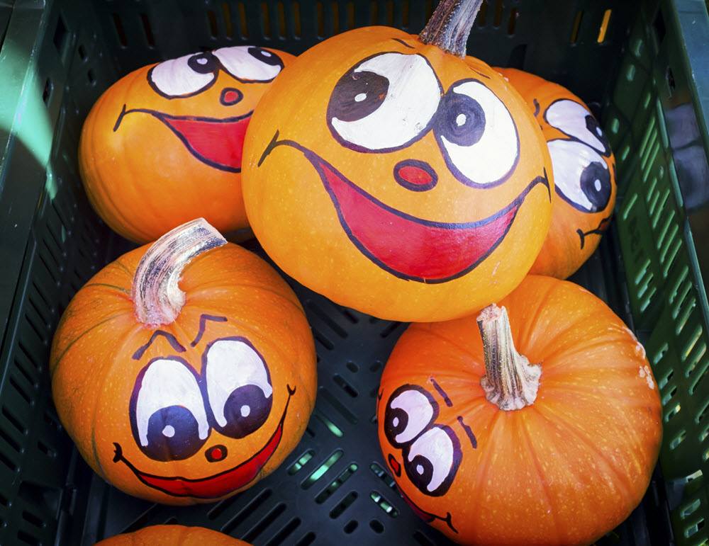 Paint a Pumpkin at Grange Co-Op