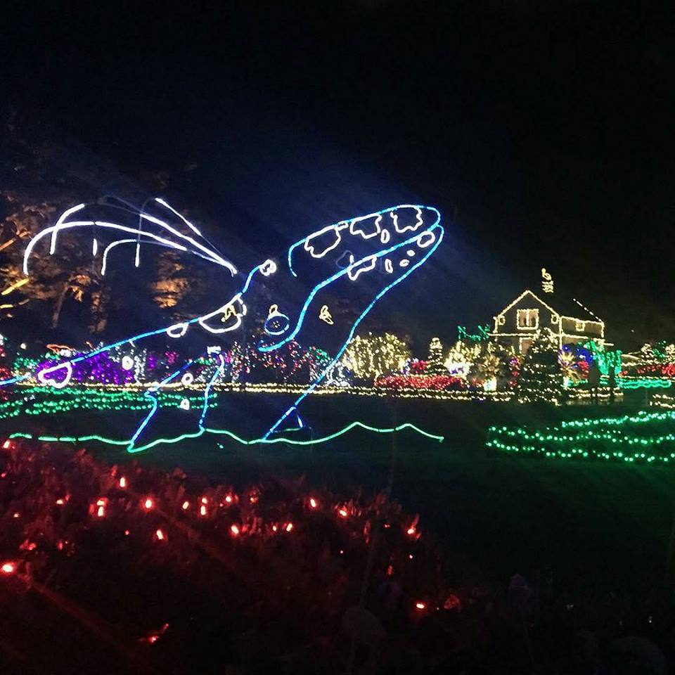 Shore Acres State Park Holiday Lights