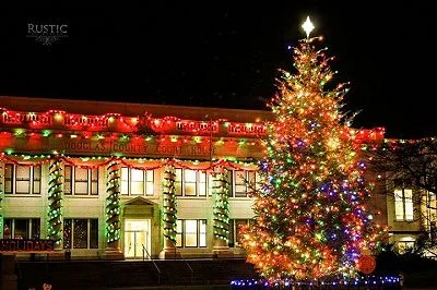 ROSEBURG TREE LIGHTING