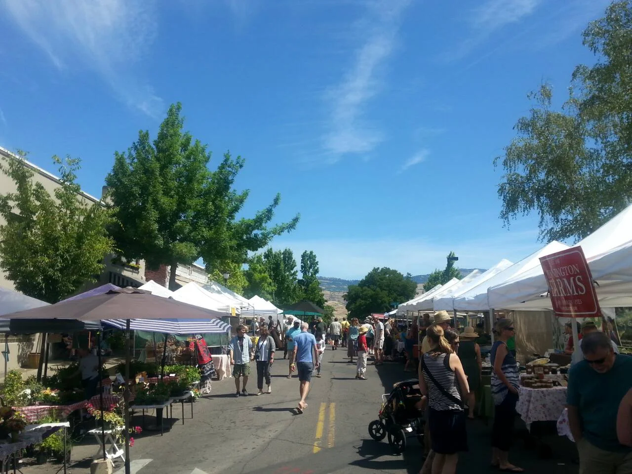 ROGUE VALLEY GROWERS MARKET - What to do in Southern Oregon.jpg
