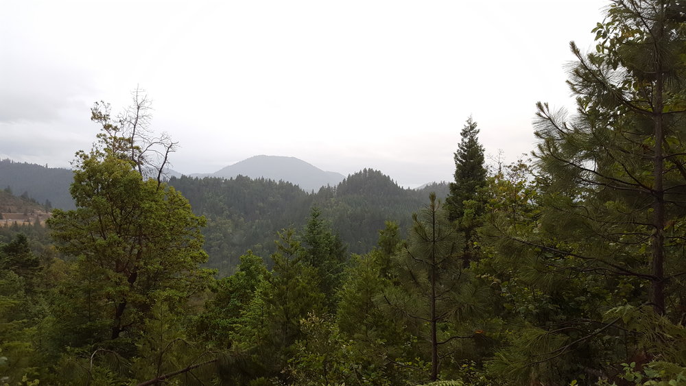 Road to London Peak Trail