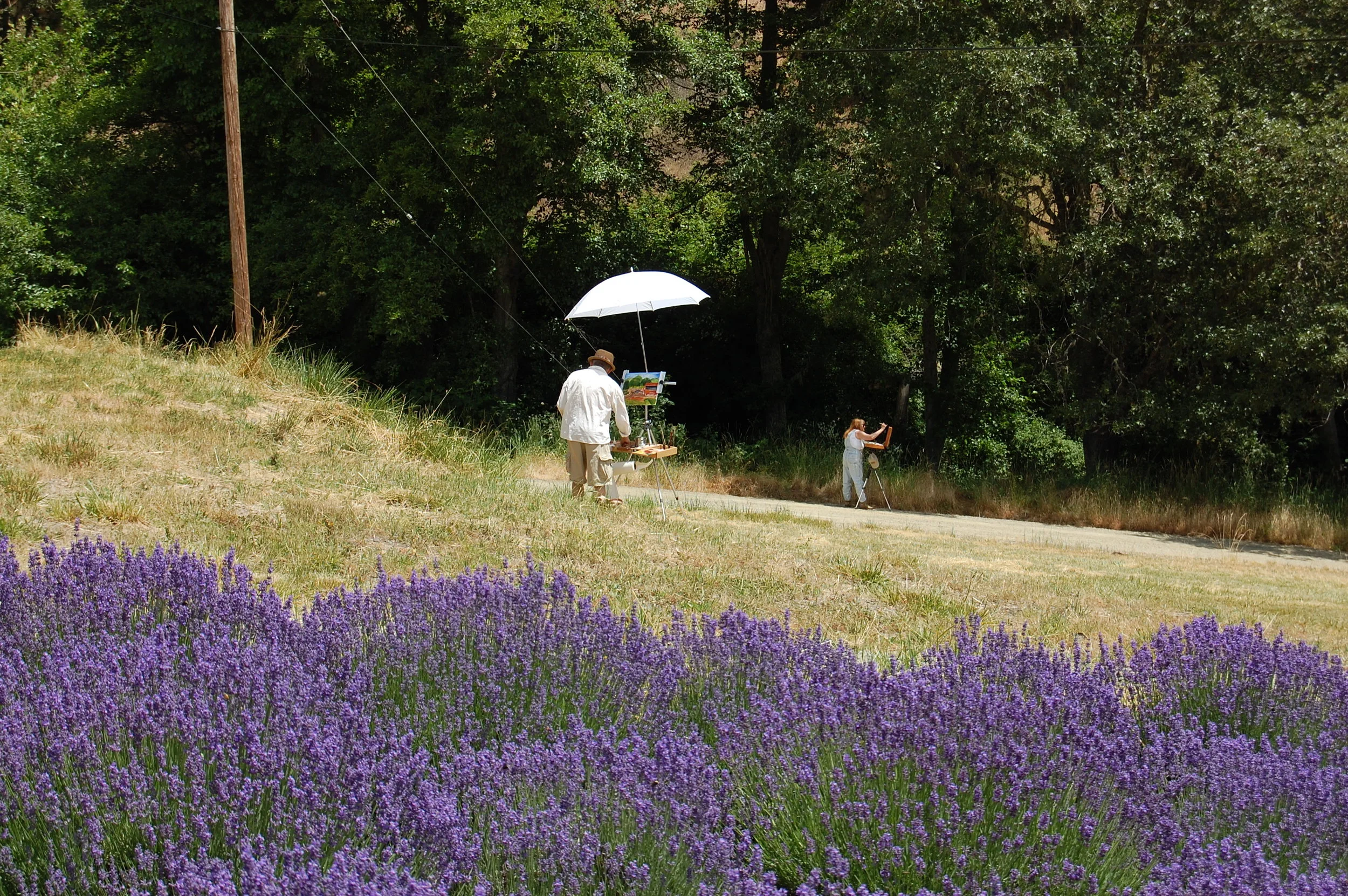 THE ENGLISH LAVENDER FARM - SOUTHERN OREGON LAVENDER FESTIVAL