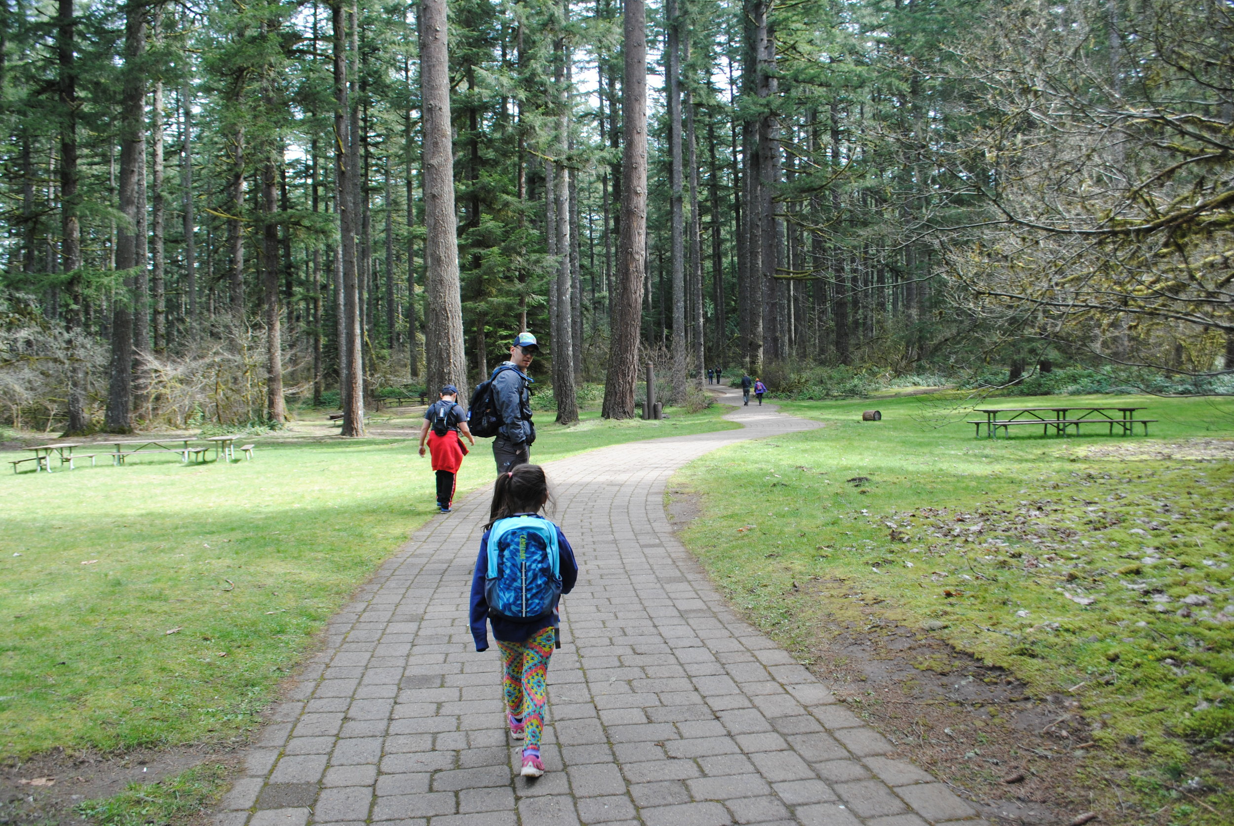SILVER FALLS STATE PARK - Oregon - What to do 