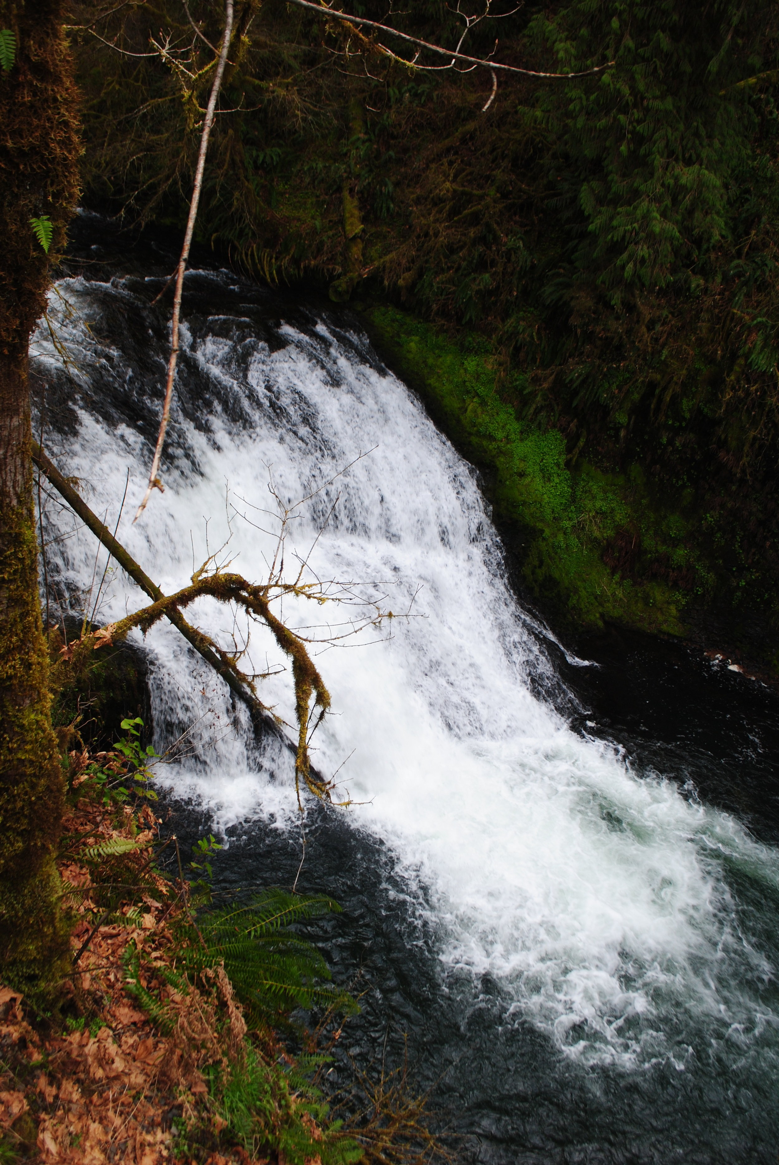 SILVER FALLS STATE PARK - Drake Falls - Oregon