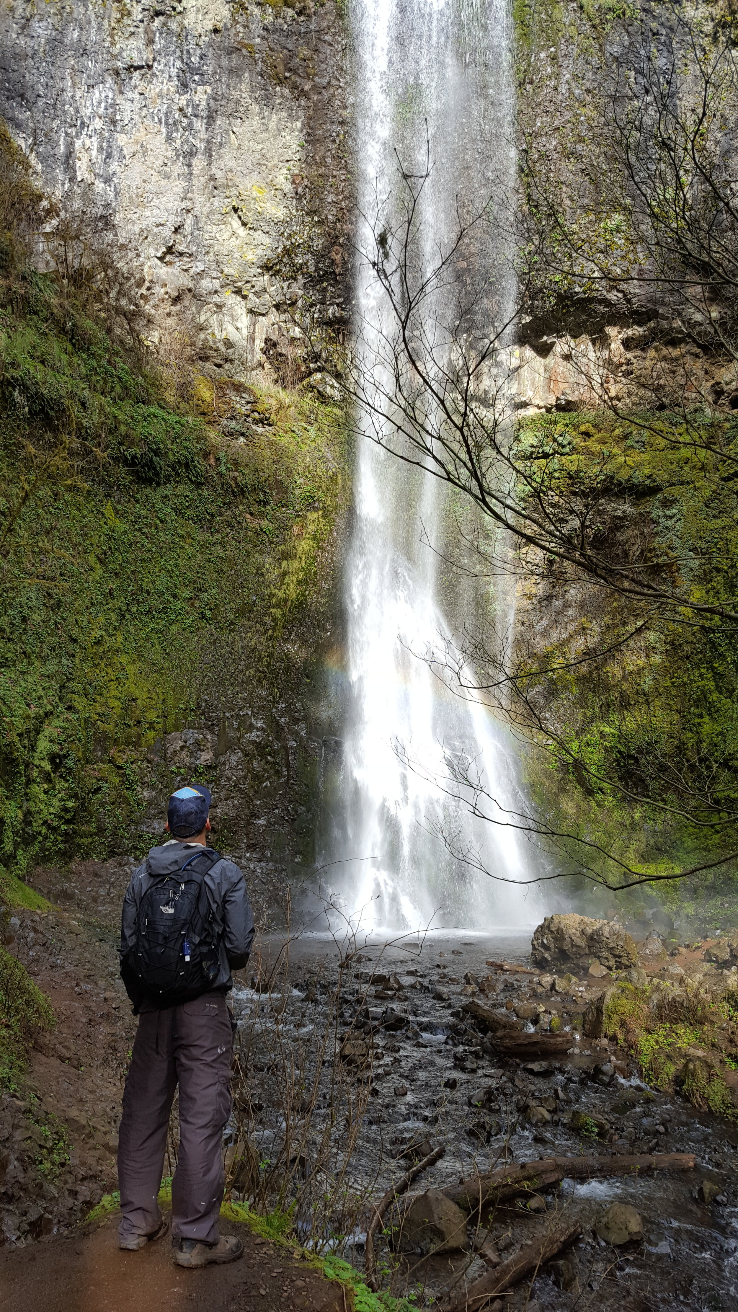 SILVER FALLS STATE PARK - Double Falls - Oregon
