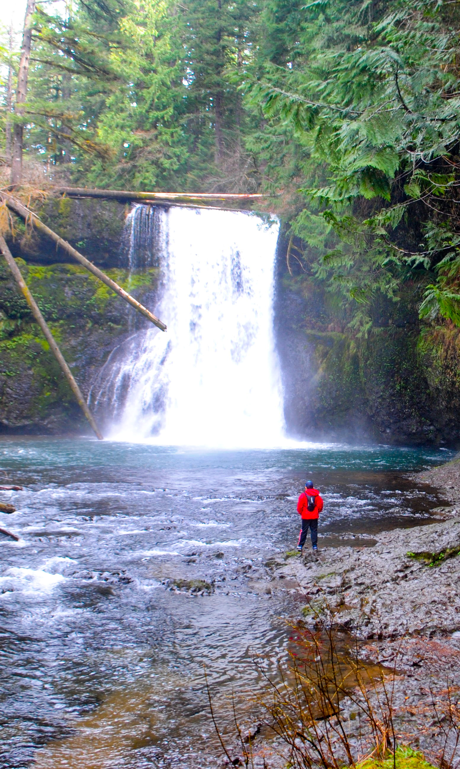 Silver Falls Trail Of Ten Falls With Kids What To Do In Southern Oregon