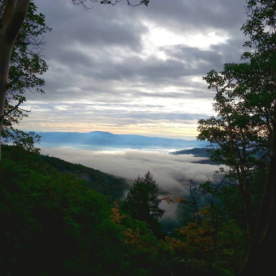 Forest Park - Atsahu Trail - Jacksonville, Oregon- Hiking - What to do in Southern Oregon