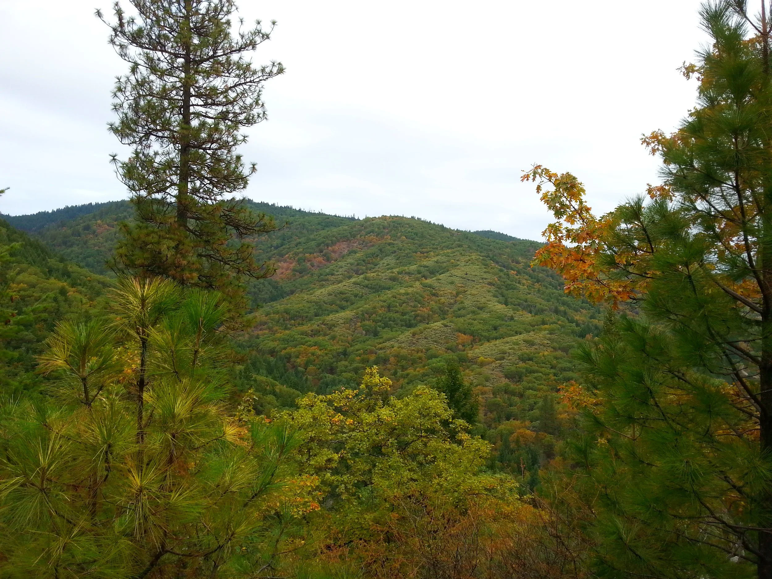 Forest Park - Atsahu Trail - Jacksonville, Oregon- Hiking - What to do in Southern Oregon