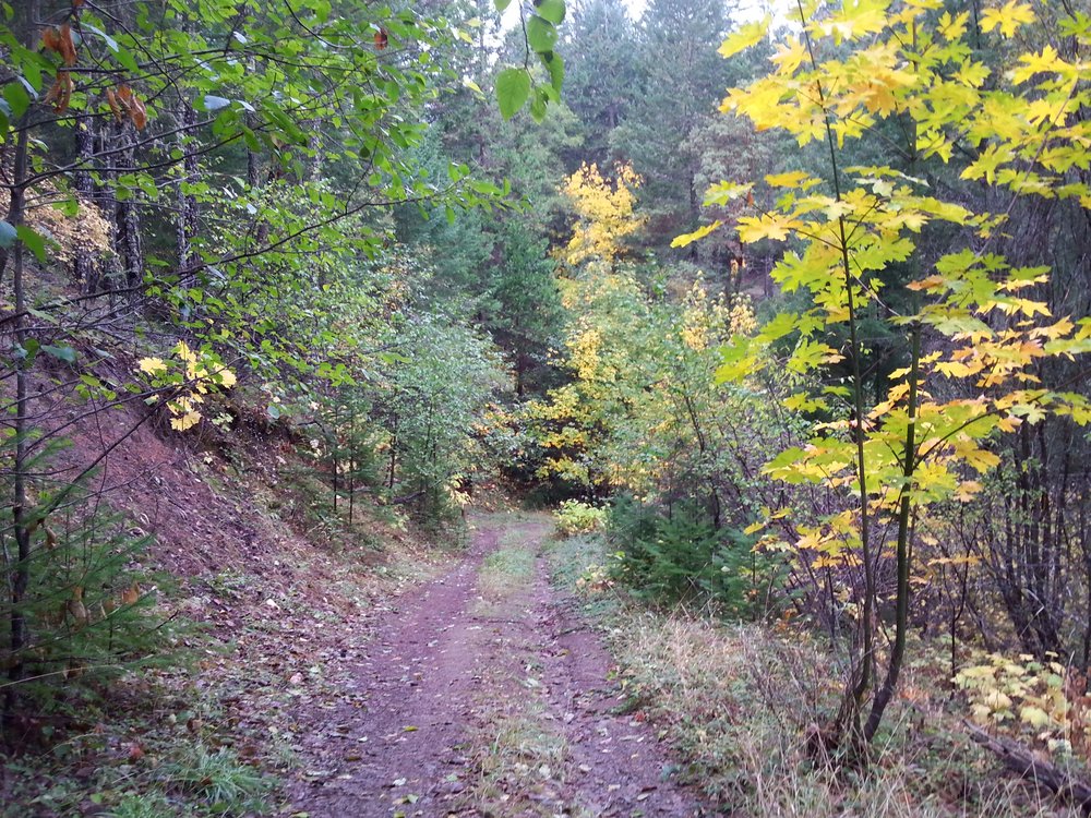 Forest Park - Atsahu Trail - Jacksonville, Oregon- Hiking - What to do in Southern Oregon
