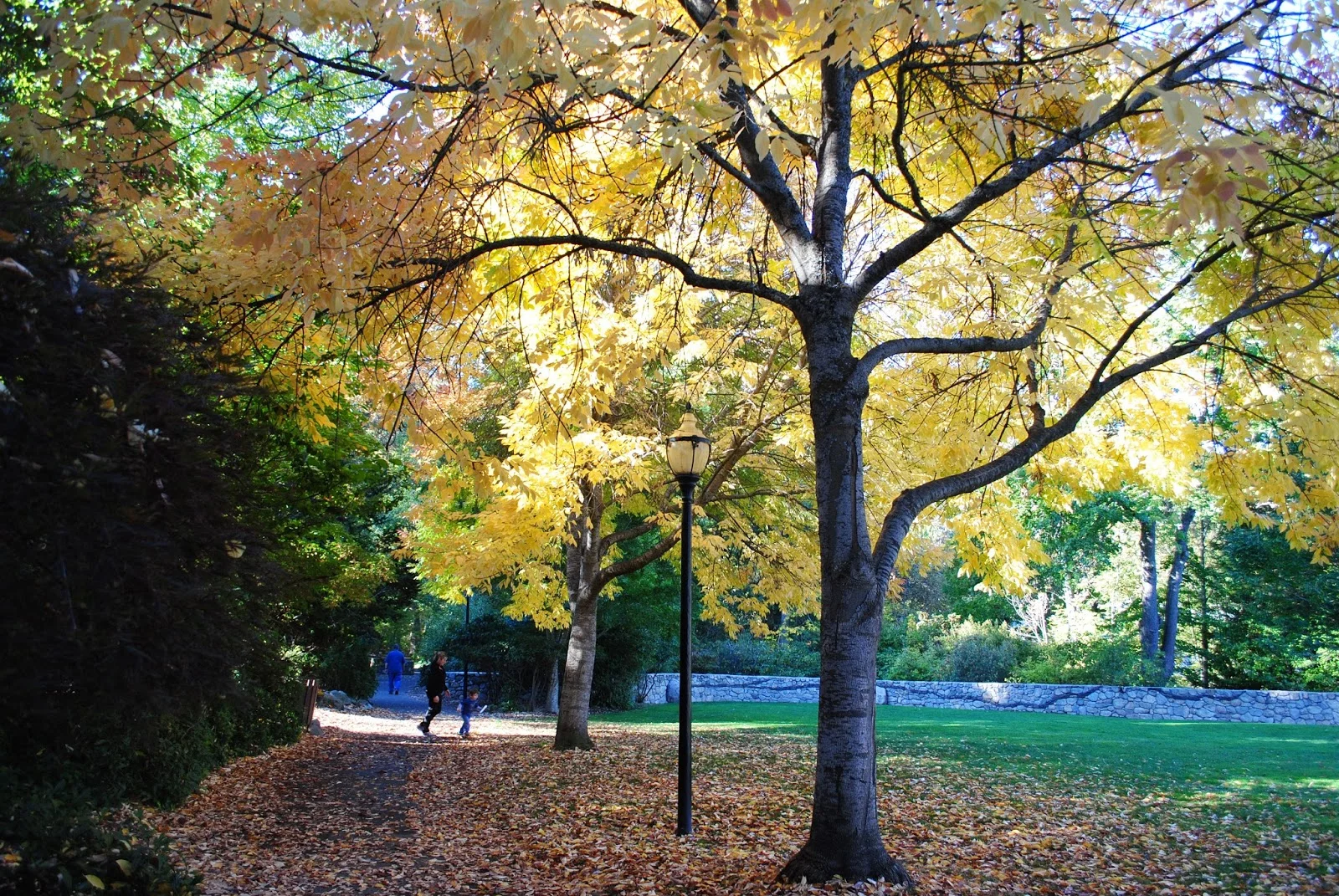 Lithia Park - Ashland - Hiking - What to do in Southern Oregon