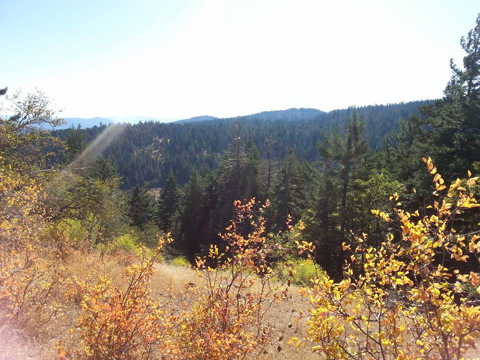 Hobart Bluff - Ashland, Oregon - Hiking - What to do in Southern Oregon