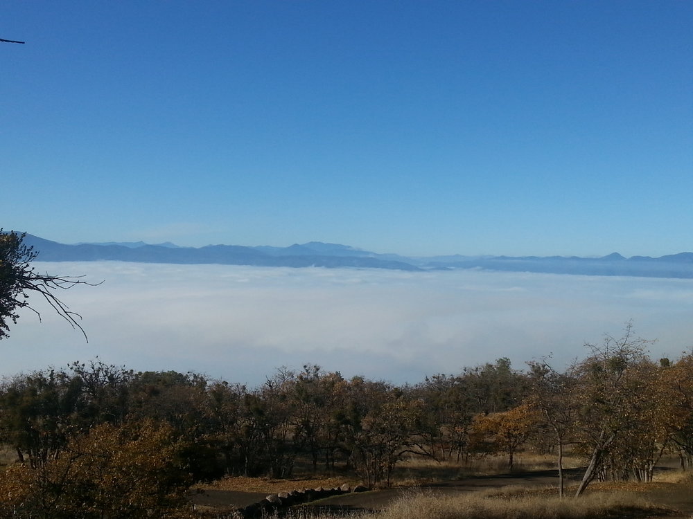 Roxy Ann - Medford - Hiking - What to do in Southern Oregon