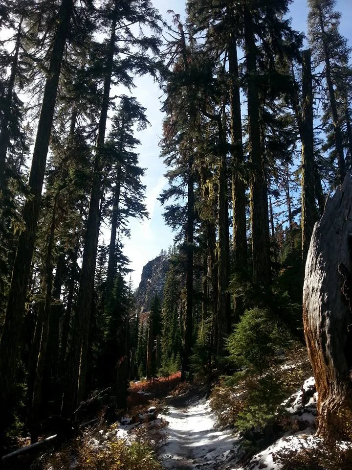 Sky Lakes Wilderness - Blue Canyon Basin - Klamath Falls - Hiking - What to do in Southern Oregon