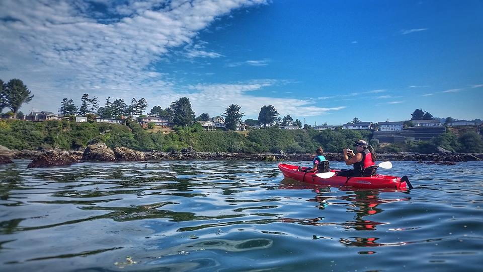 Kayaking Brookings with Kids - South Coast Tours - What to do in Southern Oregon - Travel Southern Oregon