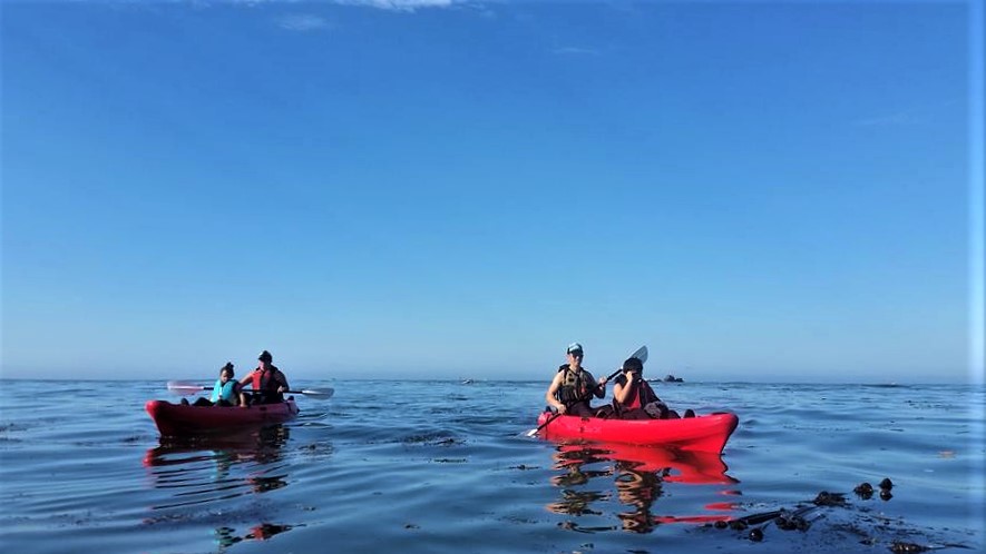 Kayaking Brookings with Kids - South Coast Tours - What to do in Southern Oregon - Travel Southern Oregon