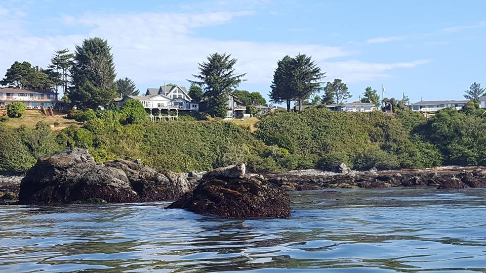 Kayaking Brookings with Kids - South Coast Tours - What to do in Southern Oregon - Travel Southern Oregon