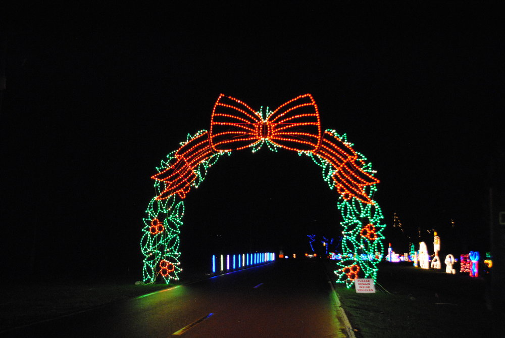 Umpqua Valley Festival of Lights - Roseburg - What to do in Southern Oregon