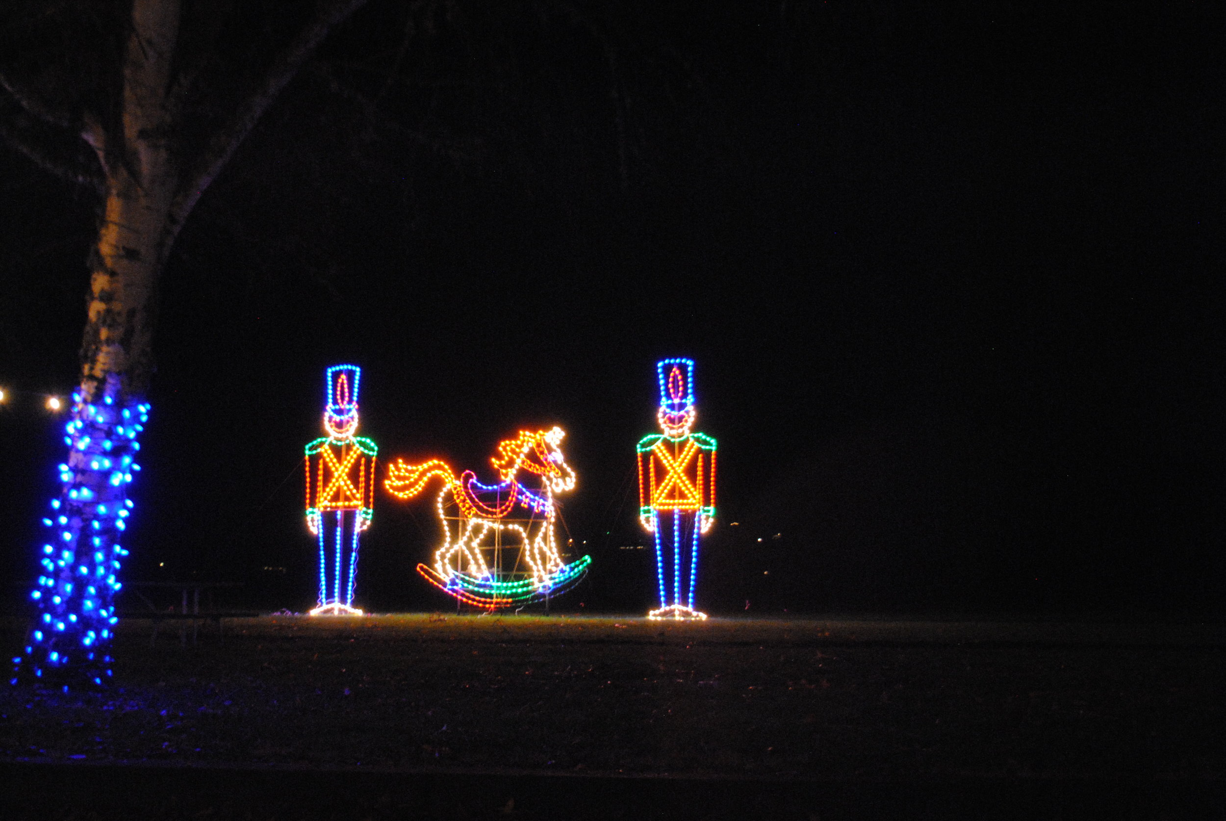 Umpqua Valley Festival of Lights - Roseburg - What to do in Southern Oregon