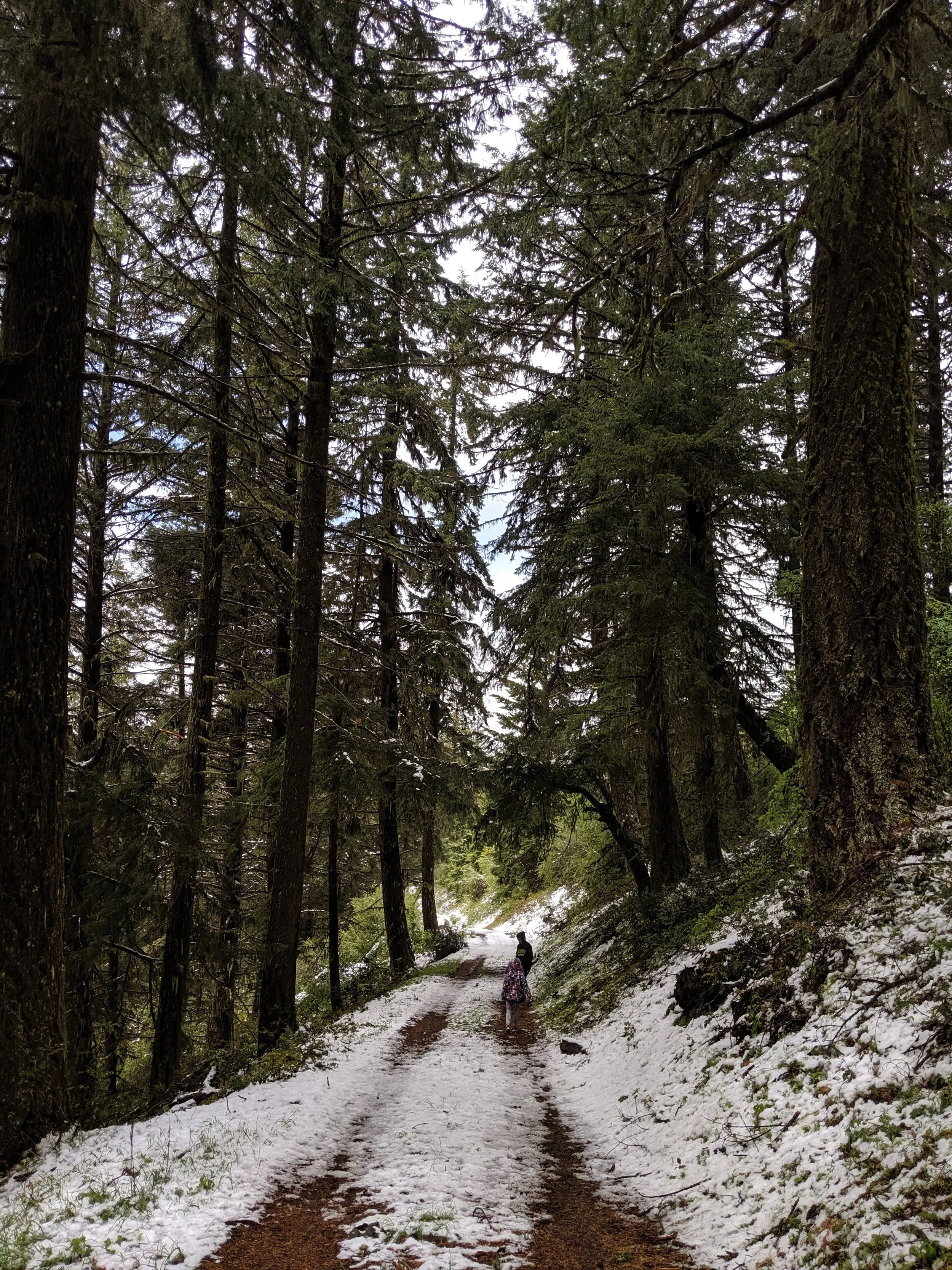 Squaw Peak Lookout - Jacksonville - Hike - What to do in Southern Oregon