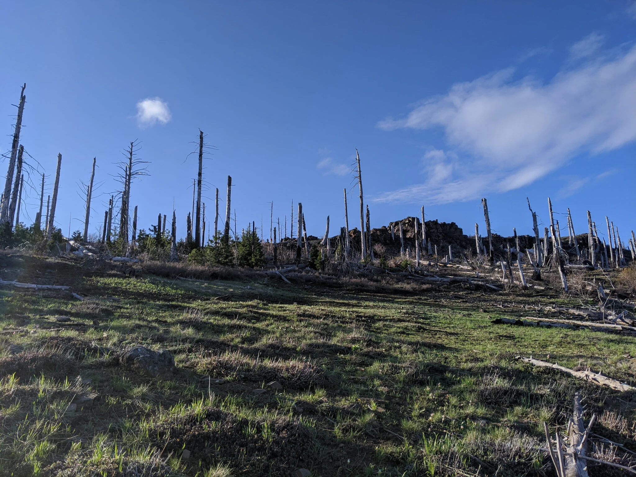 Best Oregon Hikes with Amazing Views - Grizzly Peak Loop - Ashland