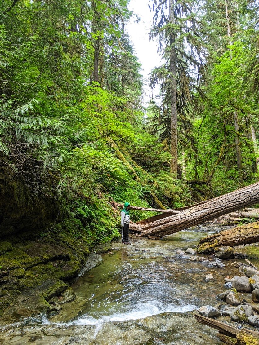 WATERFALLS - Spirit Falls - Umpqua - What to do in Southern Oregon - Roseburg