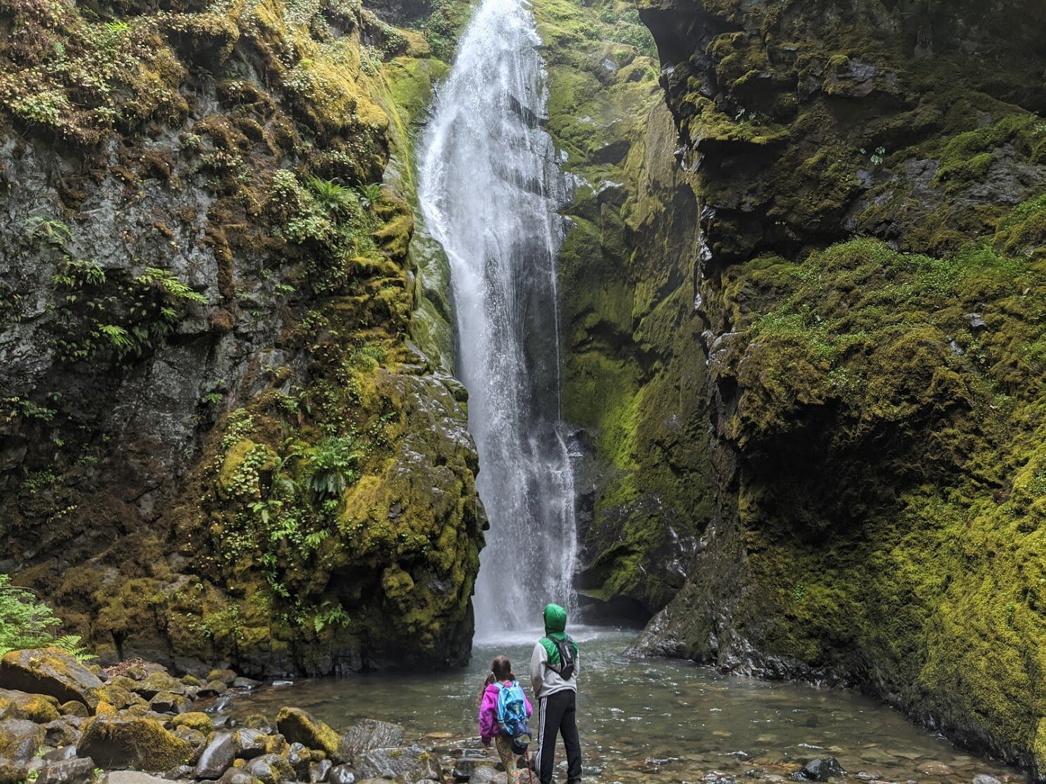 Spirit Falls, Pinard Falls & Moon Falls - Waterfall Hiking with Kids