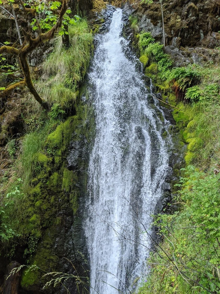 Waterfalls - Fall Creek Falls - North Umpqua - Glide - Roseburg - What to do in Southern Oregon - Kid-Friendly 26.jpg