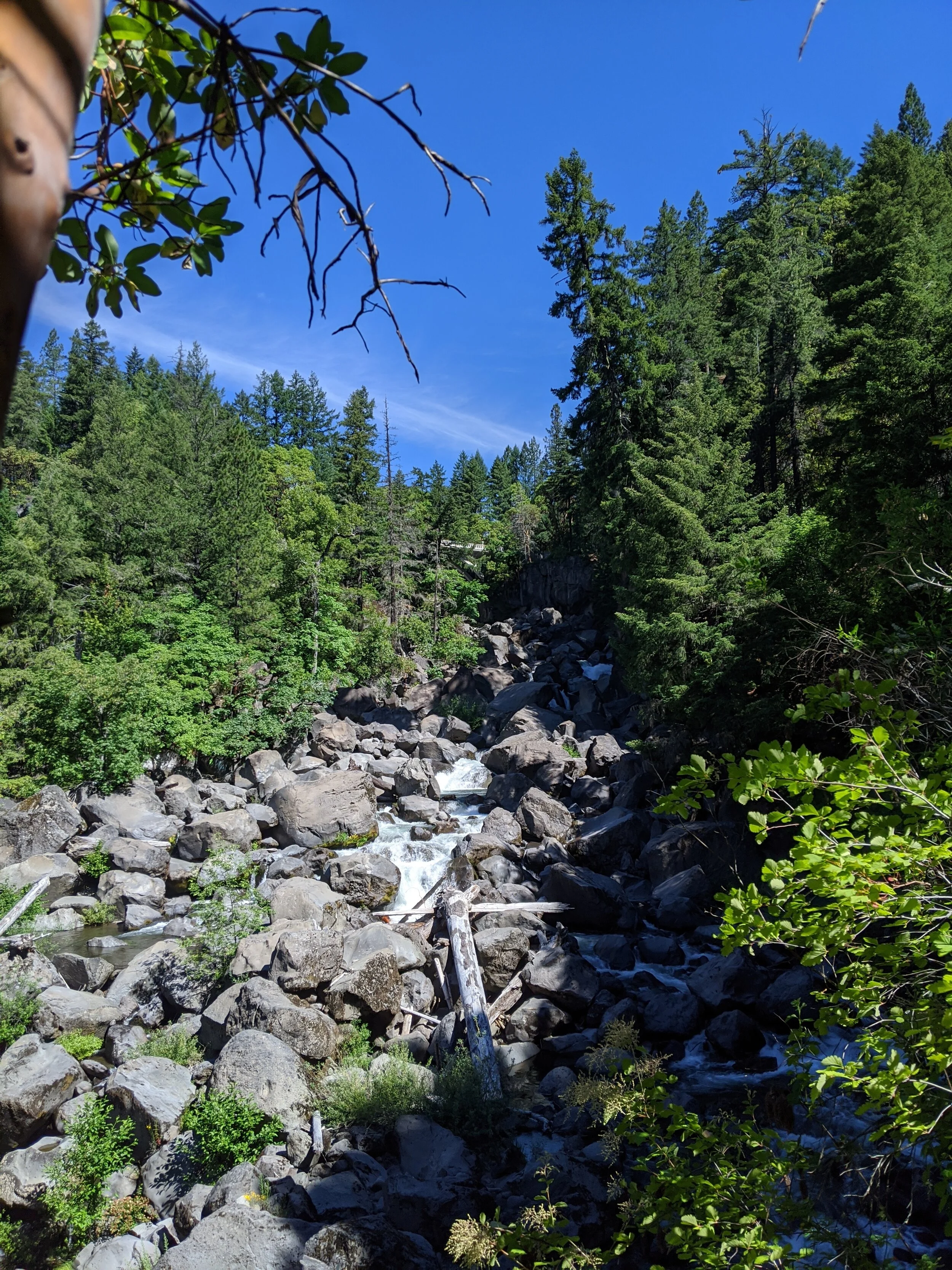 WATERFALLS - Pearsoney Falls - Prospect - What to do in Southern Oregon - Travel (58).jpg