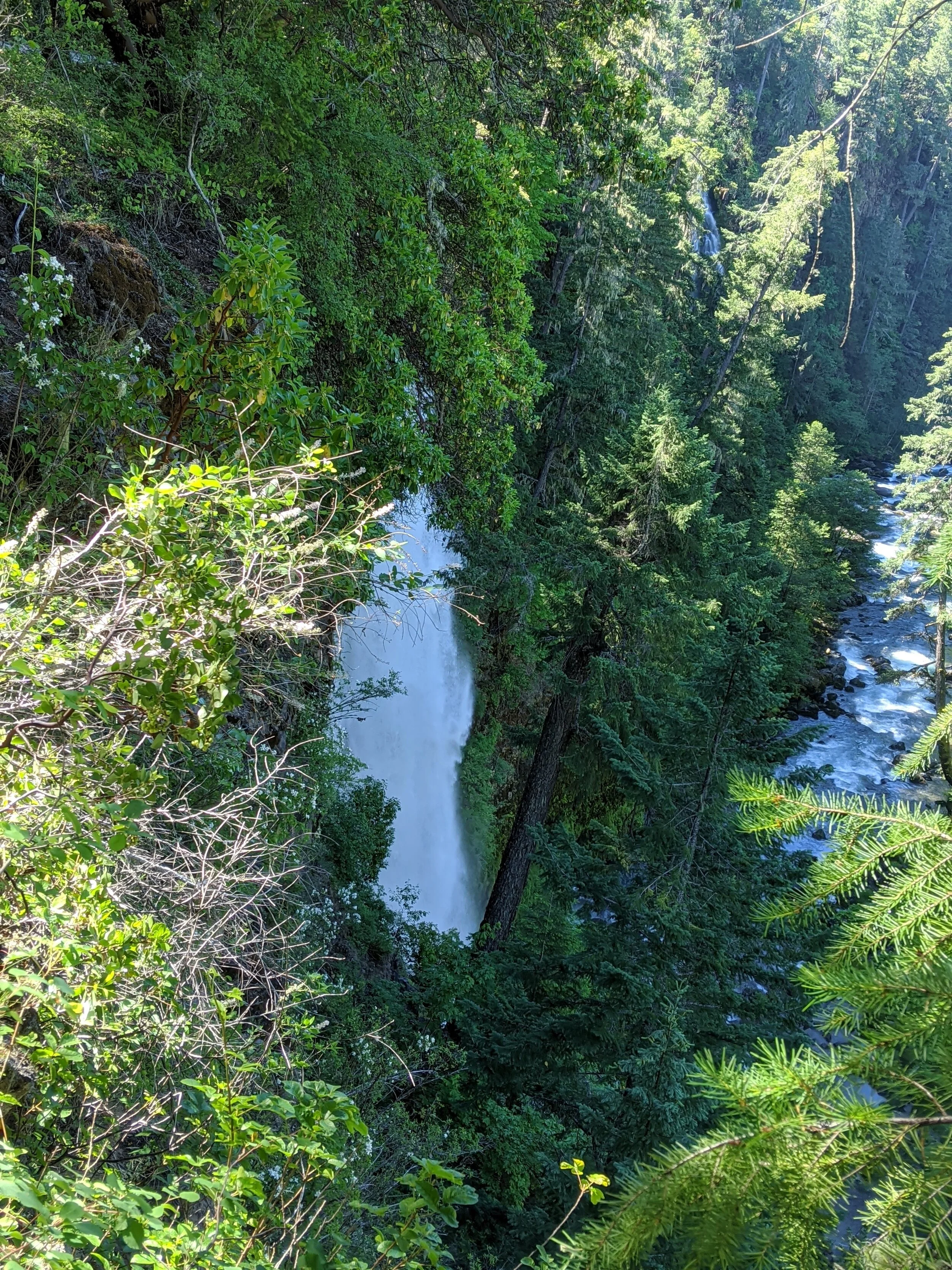 WATERFALLS - Pearsoney Falls - Prospect - What to do in Southern Oregon - Travel (63).jpg