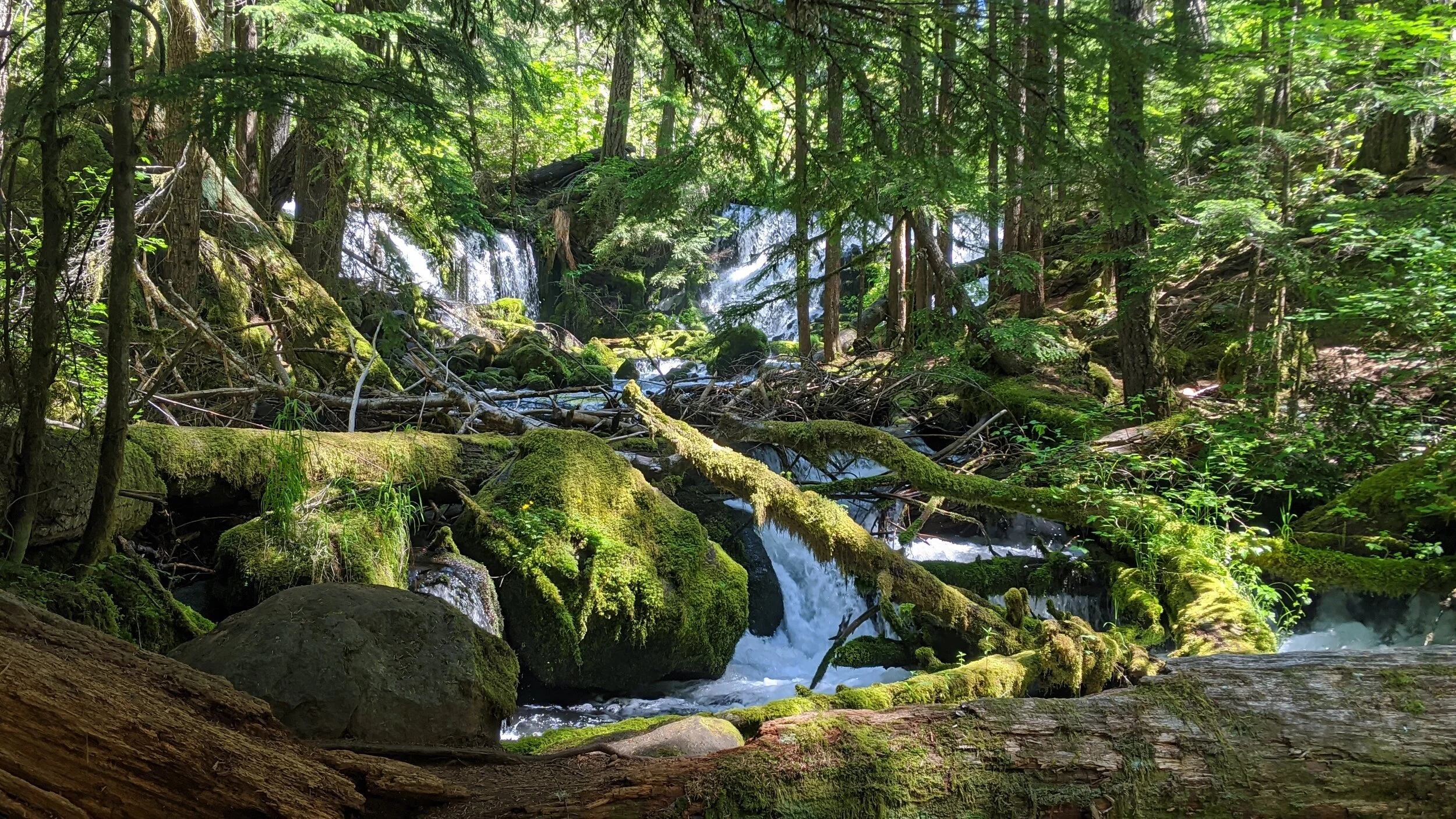 WATERFALLS - Pearsoney Falls - Prospect - What to do in Southern Oregon - Travel (73).jpg