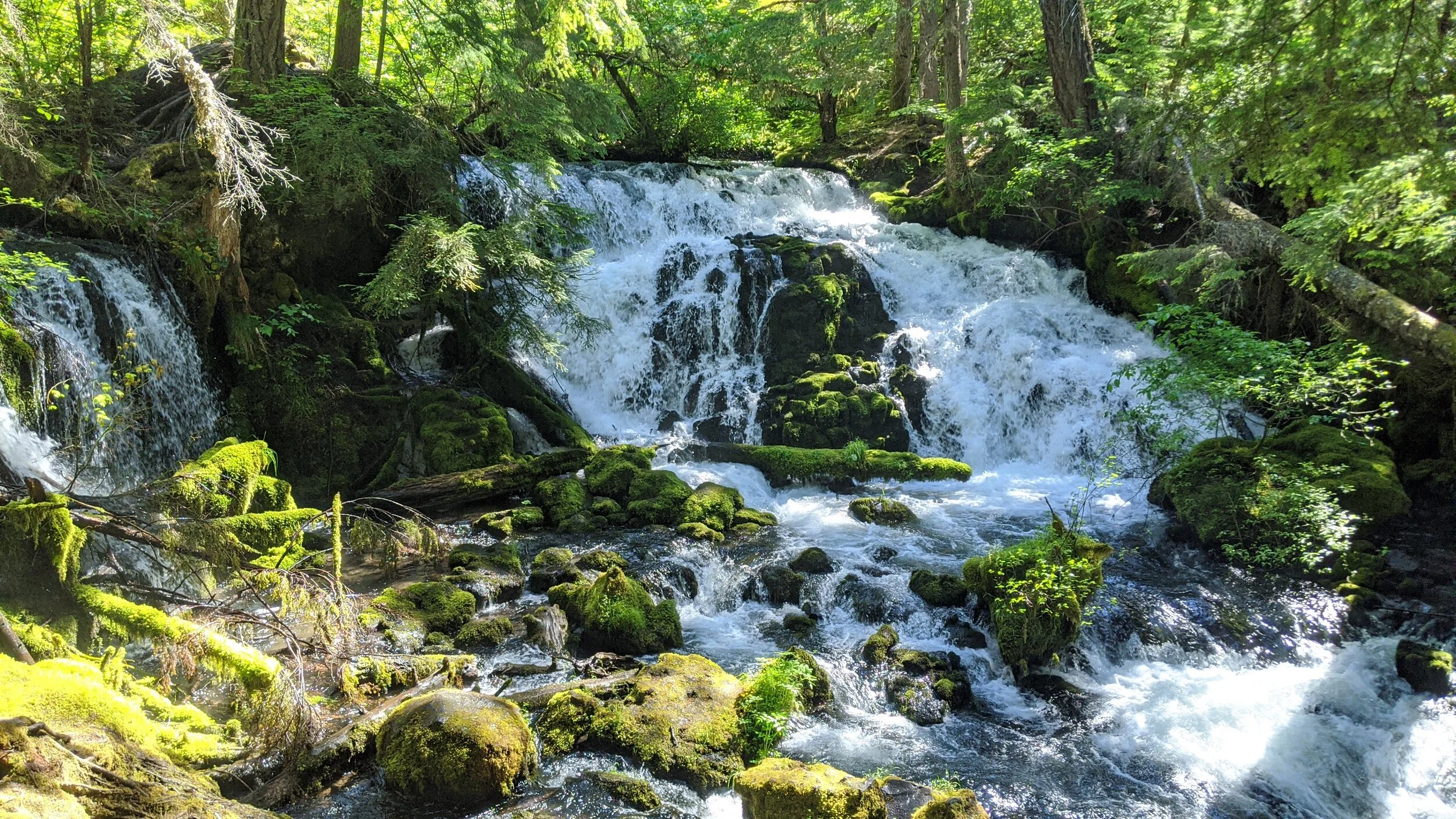 WATERFALLS - Pearsoney Falls - Prospect - What to do in Southern Oregon - Travel (79).jpg