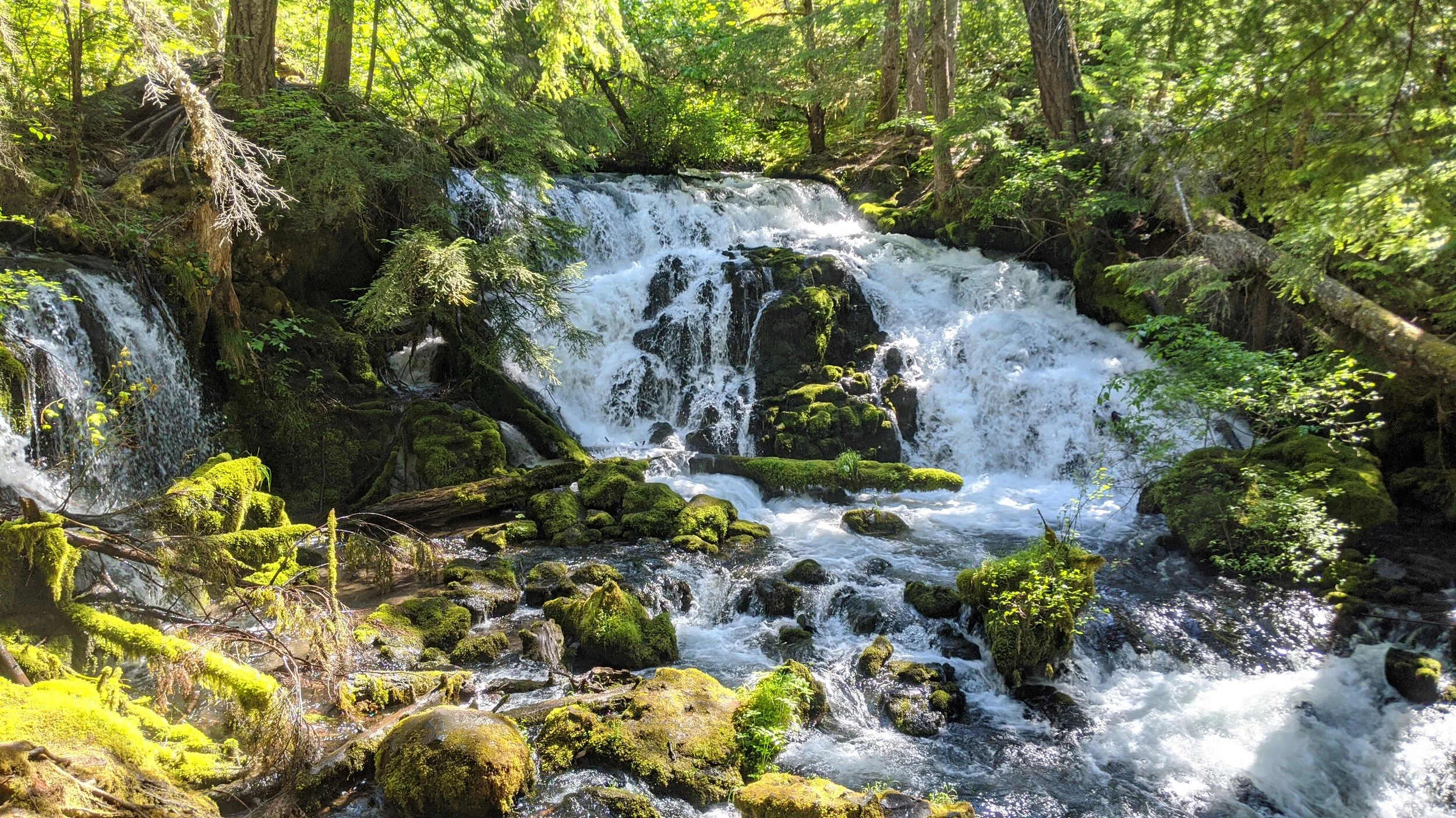 WATERFALLS - Pearsoney Falls - Prospect - What to do in Southern Oregon - Travel (31).jpg