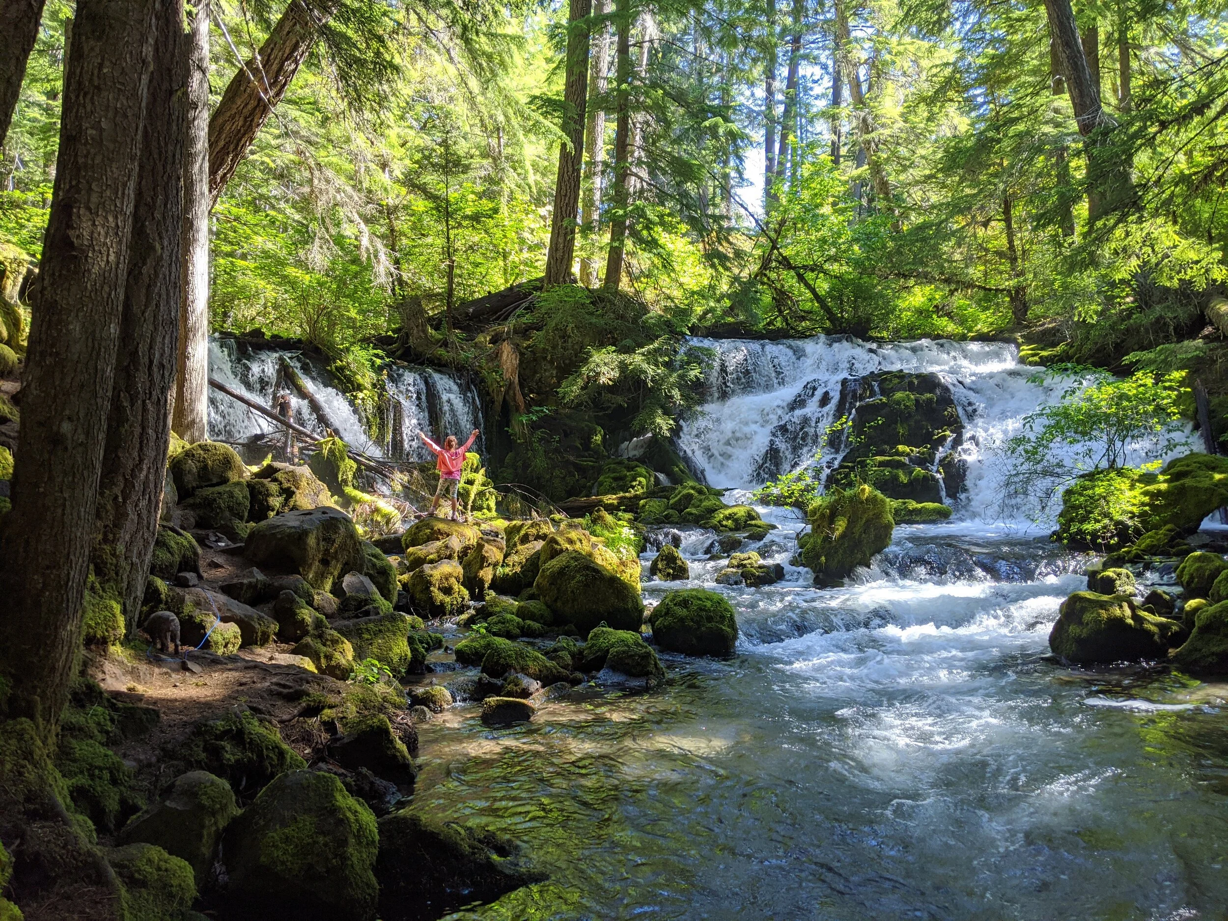 WATERFALLS - Pearsoney Falls - Prospect - What to do in Southern Oregon - Travel (86).jpg