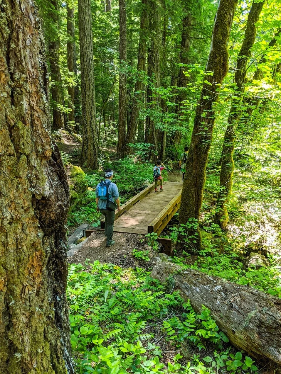 Yakso Falls - North Umpqua - Glide, Oregon - Roseburg - What to do in Southern Oregon -Travel - Kids - Waterfall Hike