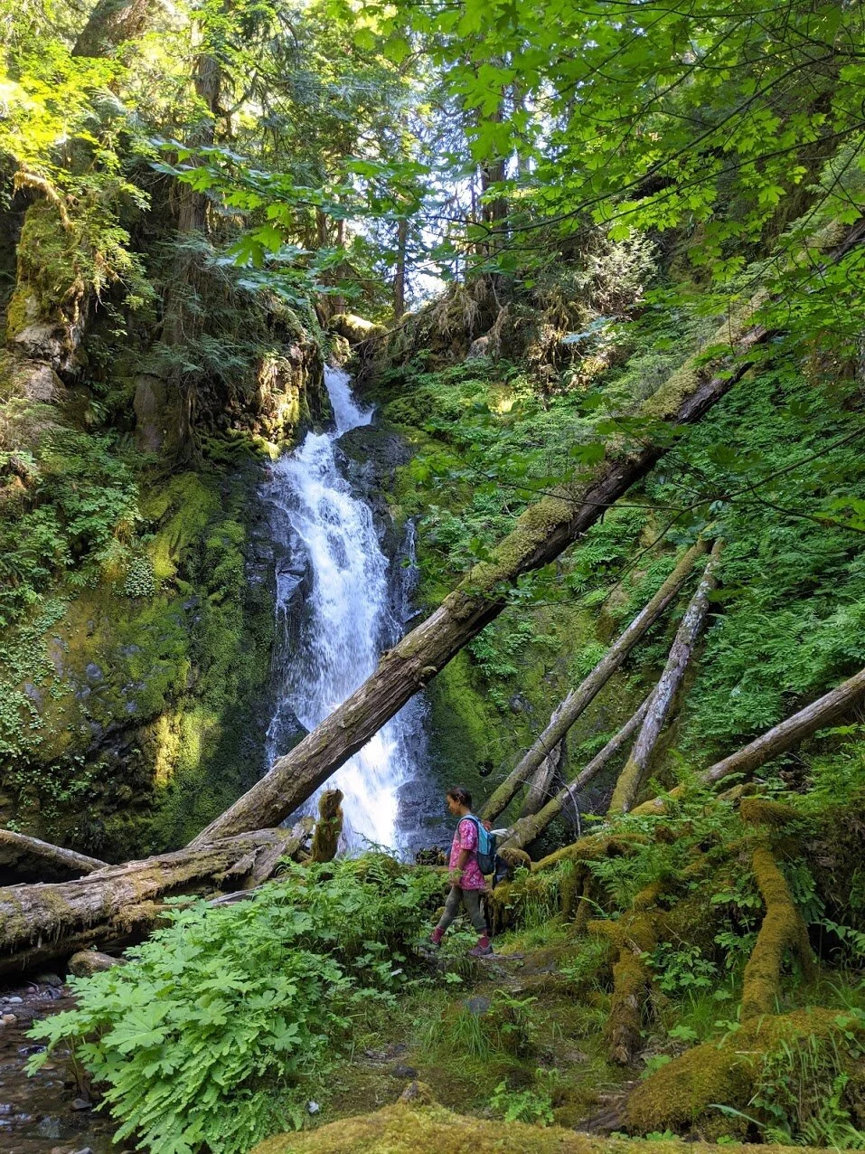 Hemlock Falls - North Umpqua - Roseburg - Glide - What to do in Southern Oregon - Travel - Kids